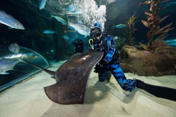 National Aquarium